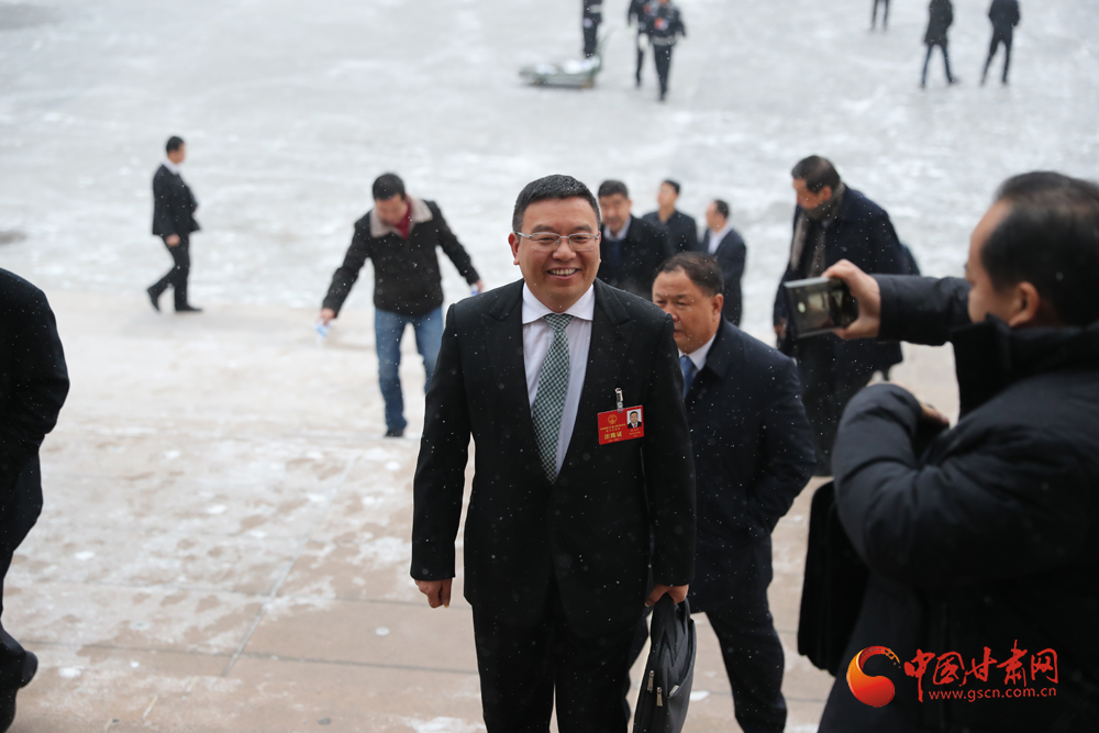 【聚焦2020甘肅兩會(huì)】“兩會(huì)”代表、委員風(fēng)采掠影（組圖）