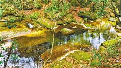 甘肅旅游丨八福溝，西秦嶺深處的水韻秘境