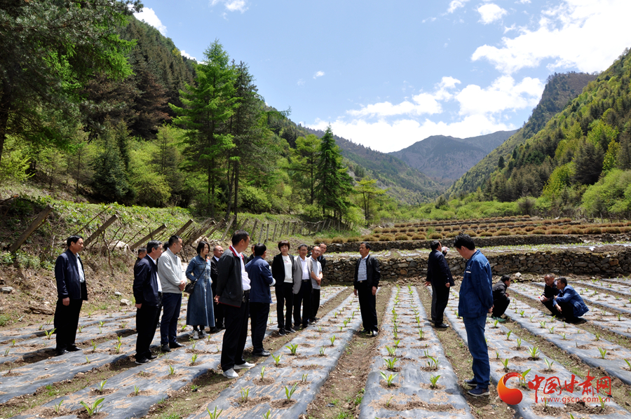 白龍江博峪河保護局開展產業(yè)發(fā)展、義務勞動成果現場觀摩交流活動