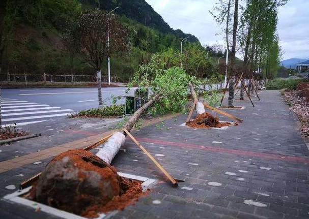 刮風(fēng)下雨加速新冠病毒傳播？別信！