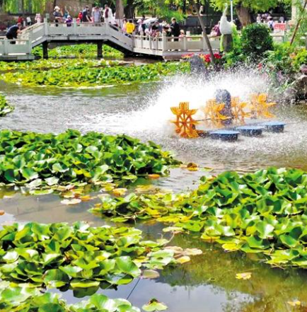 走，到五泉山公園看花展去