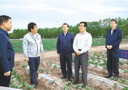 林鐸在天?？h調(diào)研指導(dǎo)脫貧攻堅工作時強調(diào)  拉開架勢持續(xù)用力構(gòu)建扶貧產(chǎn)業(yè)體系 多措并舉固強補弱鞏固提升脫貧成果