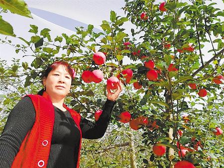 【走向我們的小康生活】馮巧葉，“大家一起過(guò)好日子”