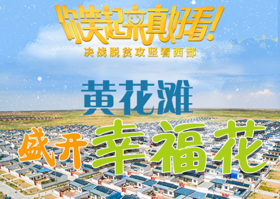 【你笑起來真好看】黃花灘盛開幸?；ǎ▓D解）