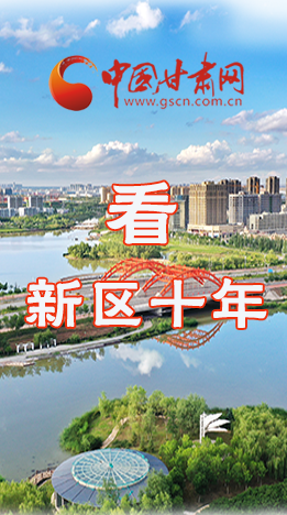 圖解|崛起！新區(qū)十年