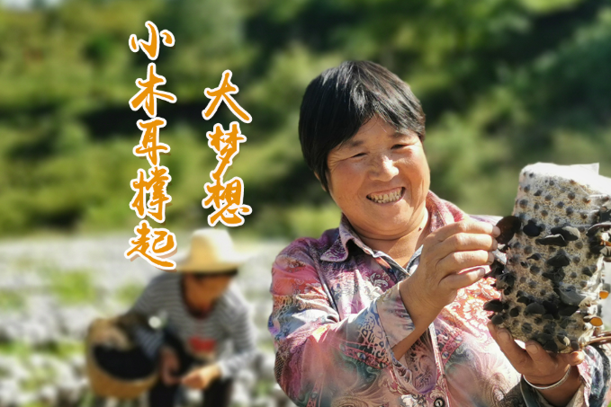 海報(bào)丨他們，乘“豐”破浪！