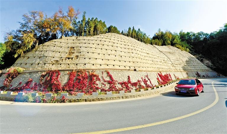 近90度陡坡上種樹！蘭州南北兩山綠化出新招