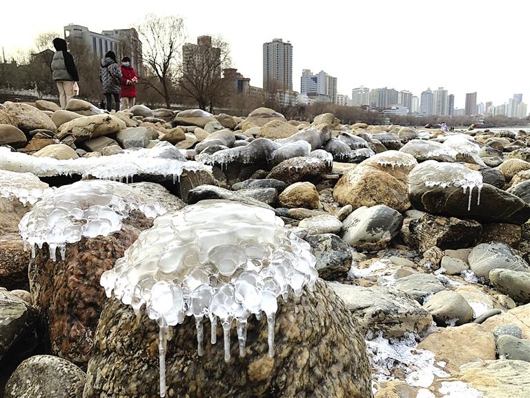 蘭州：水母上河灘？