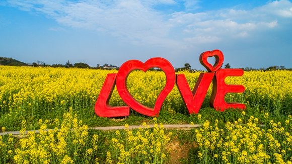 “l(fā)ove”創(chuàng)意拍照墻。廖濤 攝