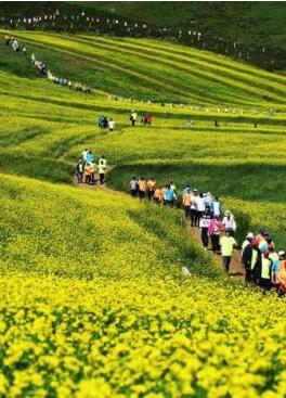 甘肅明確農(nóng)民進(jìn)城落戶:不以退出承包地、林地等為條件