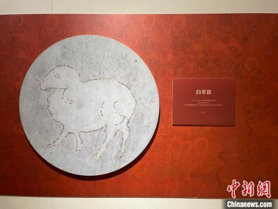 圖為展覽現(xiàn)場(chǎng)。　江楊燁 攝