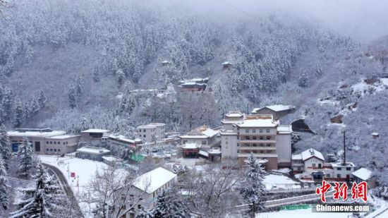 圖為籠罩在雪下的世界。吳永 攝