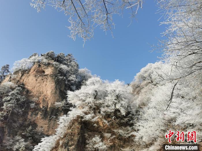 圖為藍(lán)天下霧凇籠罩山脈。　徐振華 攝
