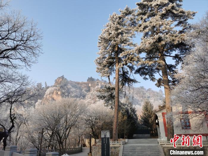 圖為崆峒山霧凇景色美不勝收?！⌒煺袢A 攝