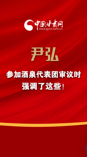【2022甘肅兩會·圖解】尹弘書記參加酒泉代表團審議時強調(diào)了這些！