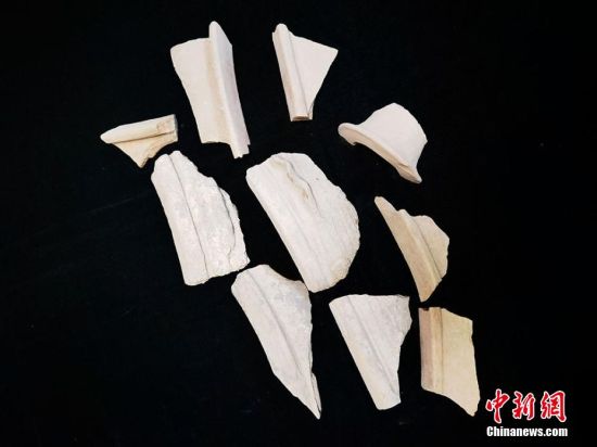 圖為靜寧縣賈河鄉(xiāng)竇坪村出土的彩陶片、紅陶片。 夏劍鋒 攝