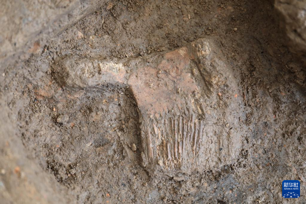 河南南陽(yáng)市黃山新石器時(shí)代遺址出土的屈家?guī)X文化骨梳（資料圖）。