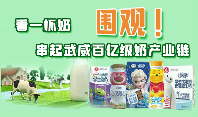 圖解|圍觀！看一杯奶串起武威百億級奶產(chǎn)業(yè)鏈