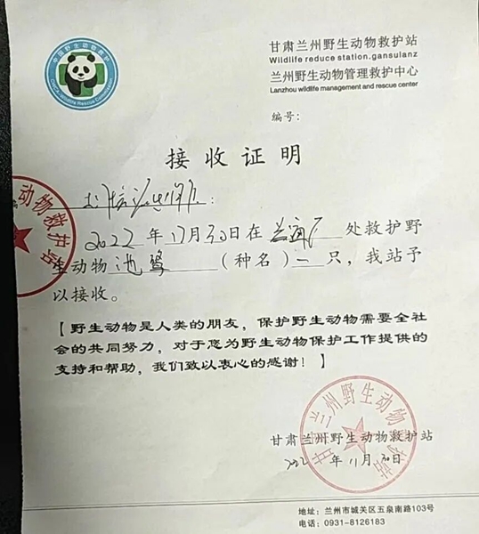受到救助的池鷺被蘭州野生動(dòng)物保護(hù)站接收。（蘭州市公安局七里河分局供圖）