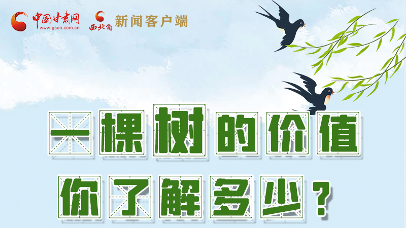 圖解|一棵樹的價值你了解多少?來看！