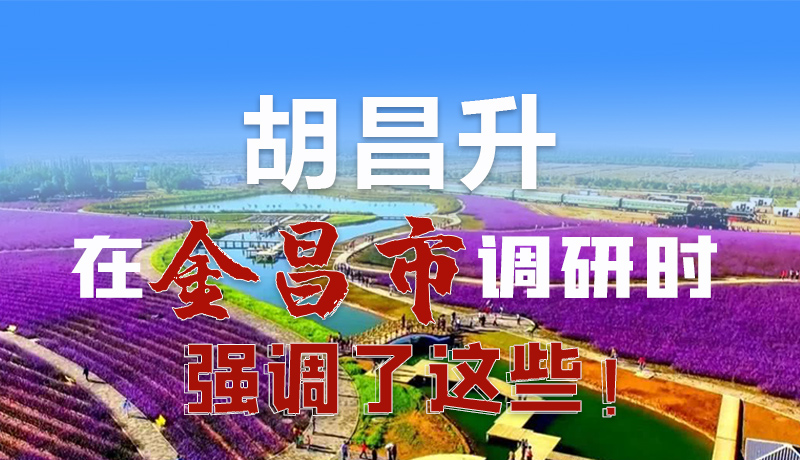 圖解|胡昌升在金昌市調(diào)研時強(qiáng)調(diào)了這些！