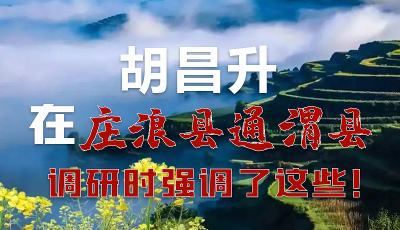 圖解|胡昌升在莊浪縣通渭縣調(diào)研時強(qiáng)調(diào)了這些！