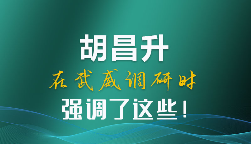 圖解|胡昌升在武威調(diào)研時(shí)強(qiáng)調(diào)了這些！