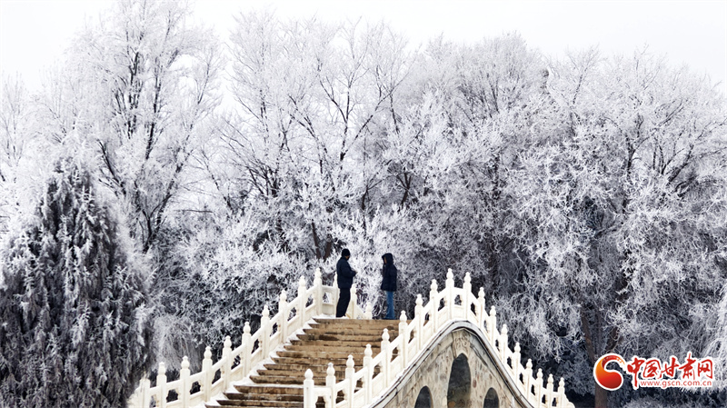 隴拍客丨民樂縣雪后霧?。罕眹鴫验熍c溫柔靜謐交織