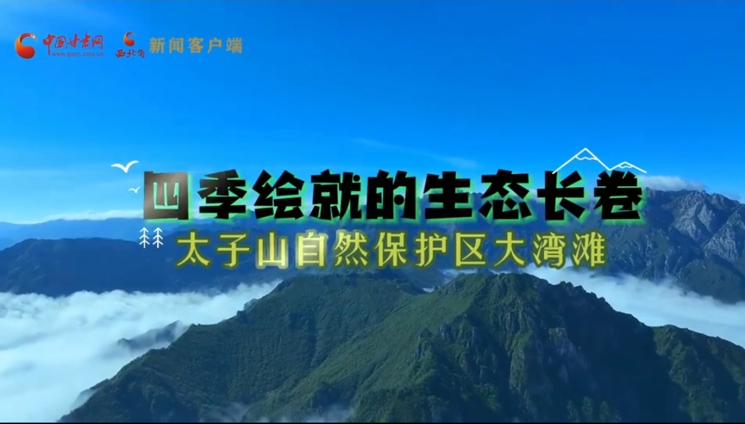 【隴拍客】太子山自然保護區(qū)大灣灘：多彩四季繪就生態(tài)長卷