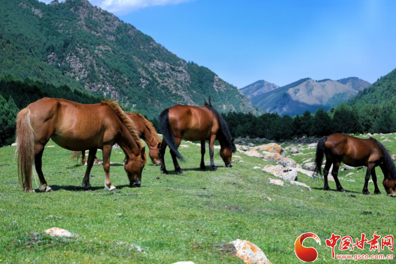 冰溝河景區(qū)榮膺甘肅文旅新地標·網(wǎng)紅打卡優(yōu)選地