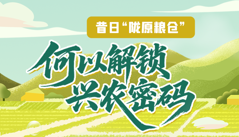 【理響中國·話隴點睛（3）】昔日“隴原糧倉”，何以解鎖“興農(nóng)密碼”