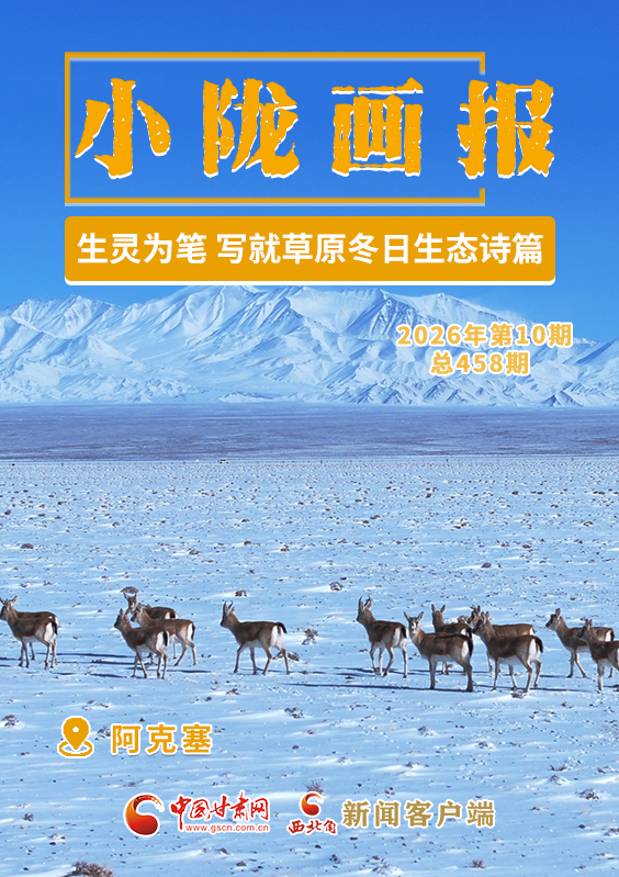 【小隴畫(huà)報(bào)·458期】阿克塞:生靈為筆 寫(xiě)就草原冬日生態(tài)詩(shī)篇