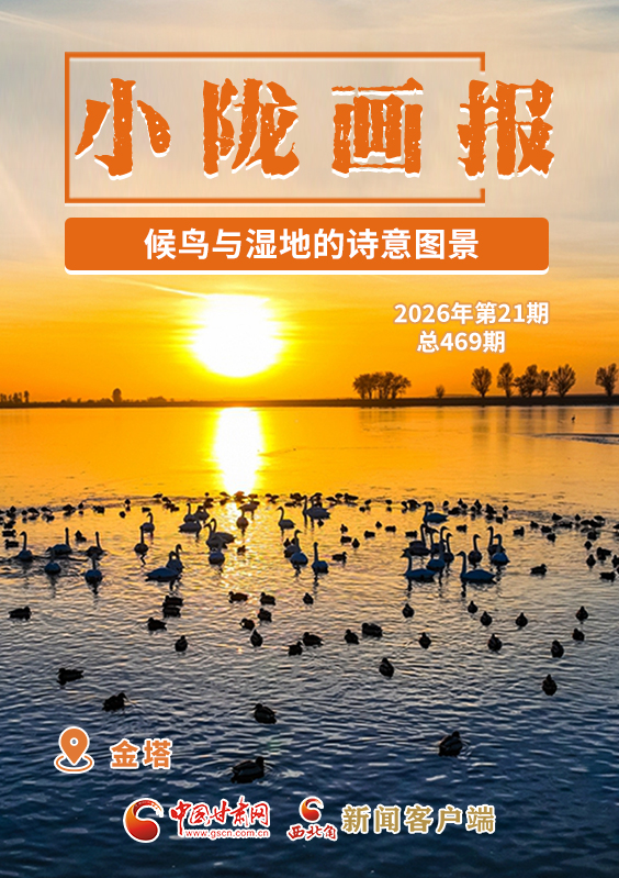 【小隴畫報(bào)·469期】金塔：候鳥與濕地的詩(shī)意圖景