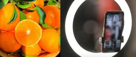 聲稱“橙子提高免疫力”、“悲情助農(nóng)”等類案頻發(fā)，敲響各單位直播帶貨警鐘