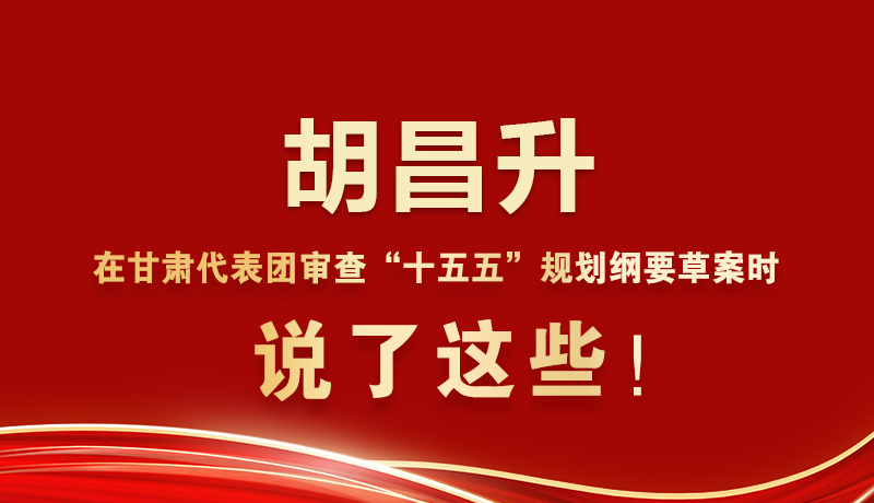 圖解|胡昌升在甘肅代表團(tuán)審查“十五五”規(guī)劃綱要草案時(shí)說(shuō)了這些！