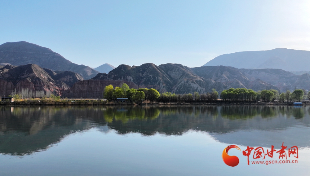 春動隴原丨永靖：風(fēng)自黃河來 吹醒岸上花