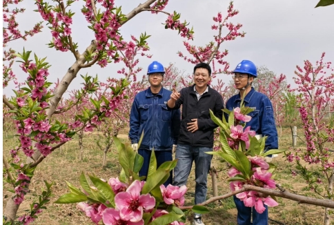 國網(wǎng)慶陽供電公司：電力護(hù)航蟠桃園 賦能鄉(xiāng)村振興路