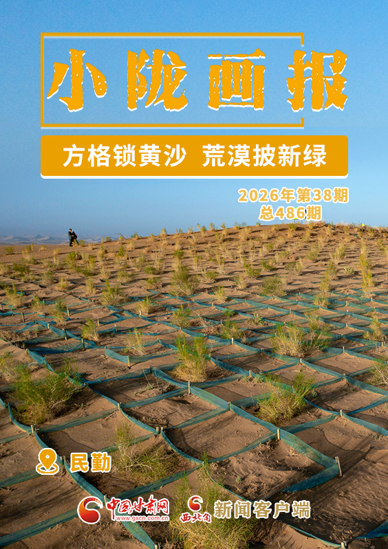 【小隴畫報(bào)·486期】民勤：方格鎖黃沙 荒漠披新綠